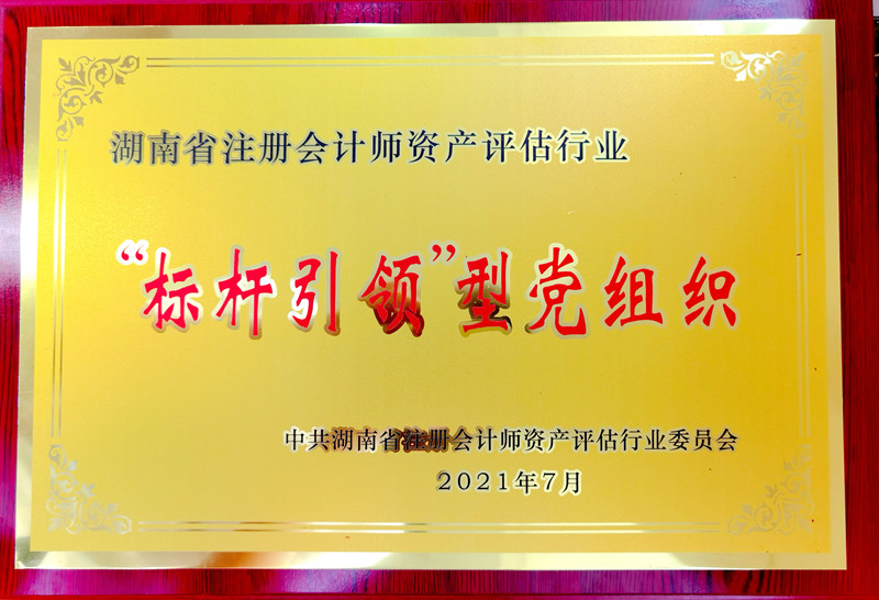 “標桿引領”型黨組織