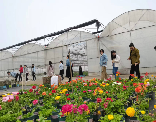 湘能卓信會計師事務所,長沙會計師事務所,會計報表年審業務承包,企業財務報表審計,管理審計項目審計,管理咨詢會計服務,資本驗證 湘能卓信會計師事務所,長沙會計師事務所,會計報表年審業務承包,企業財務報表審計,管理審計項目審計,管理咨詢會計服務,資本驗證