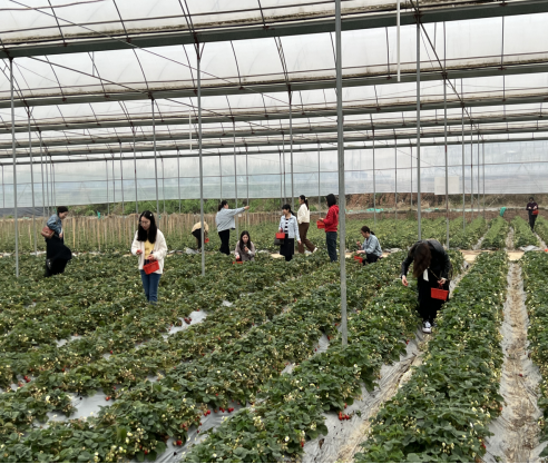 湘能卓信會計師事務所,長沙會計師事務所,會計報表年審業務承包,企業財務報表審計,管理審計項目審計,管理咨詢會計服務,資本驗證